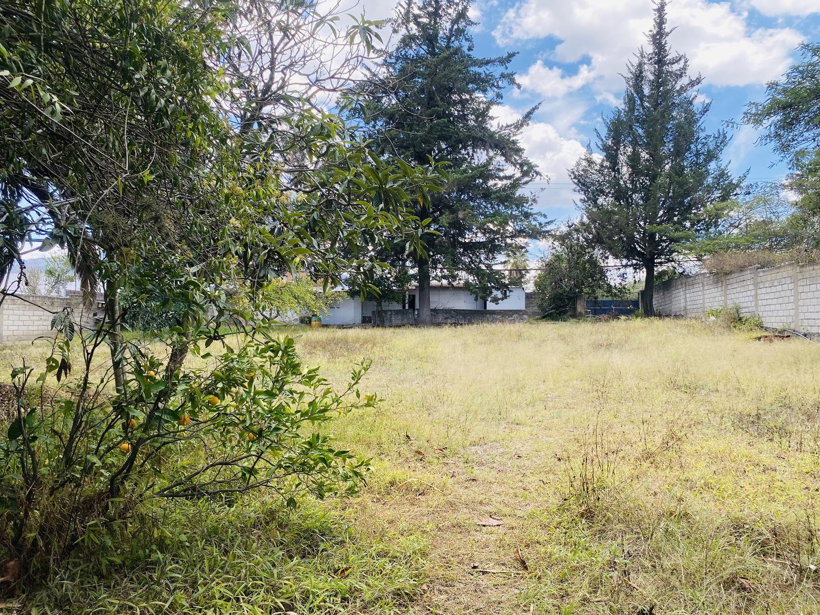 Terreno en venta en Pichincha | Quito | Tumbaco, Terreno Calle Jama OE2 - 4331, 265 m²