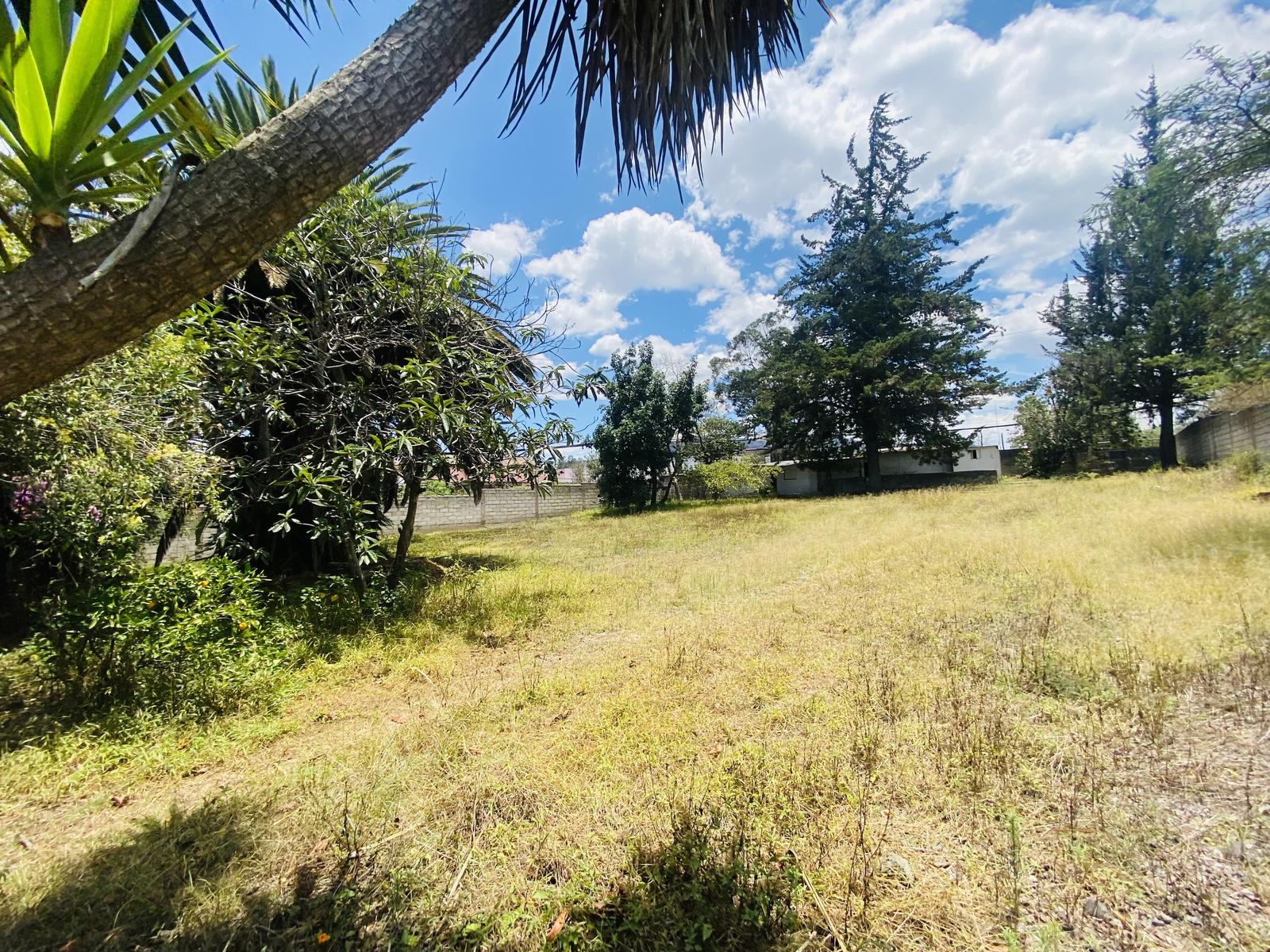 Terreno en venta en Pichincha | Quito | Tumbaco, Terreno Calle Jama OE2 - 4331, 265 m²