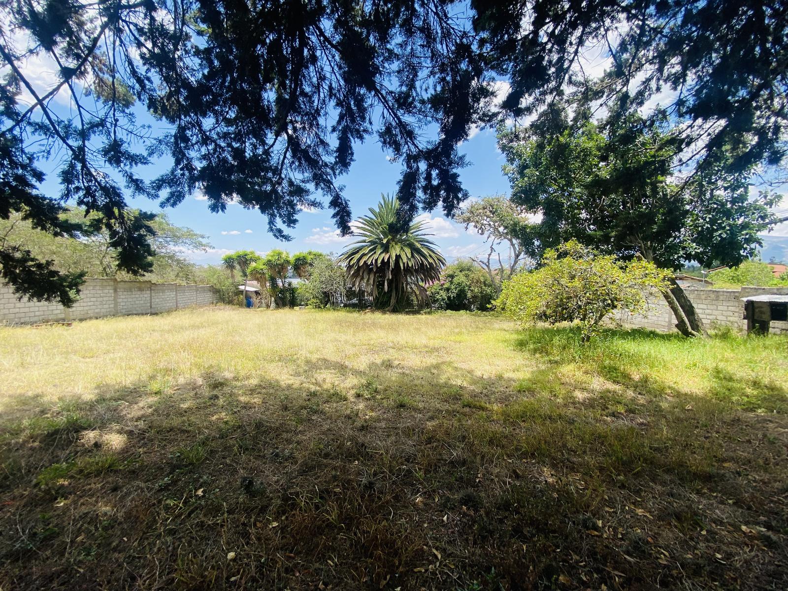 Terreno en venta en Pichincha | Quito | Tumbaco, Terreno Calle Jama OE2 - 4331, 265 m²