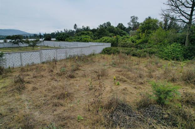 Terreno en venta en Pichincha | Quito | Puembo, VENTA DE TERRENO EN PUEMBO