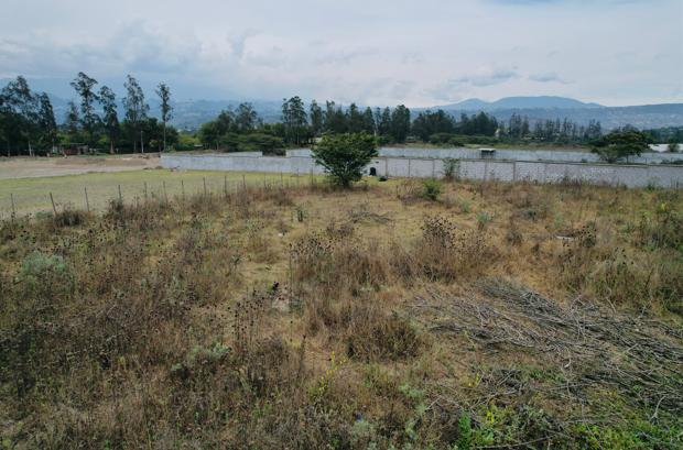Terreno en venta en Pichincha | Quito | Puembo, VENTA DE TERRENO EN PUEMBO