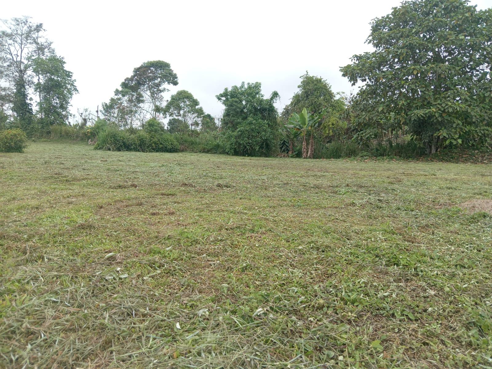 Terreno en venta en Santo Domingo | Santo Domingo | Sur de Santo Domingo, Km. 11 via Santo Domingo via a Chone 12