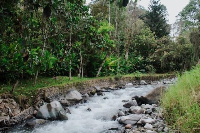 Quinta en venta en Chimborazo | Pallatanga | Norte de Pallatanga, Pallatanga