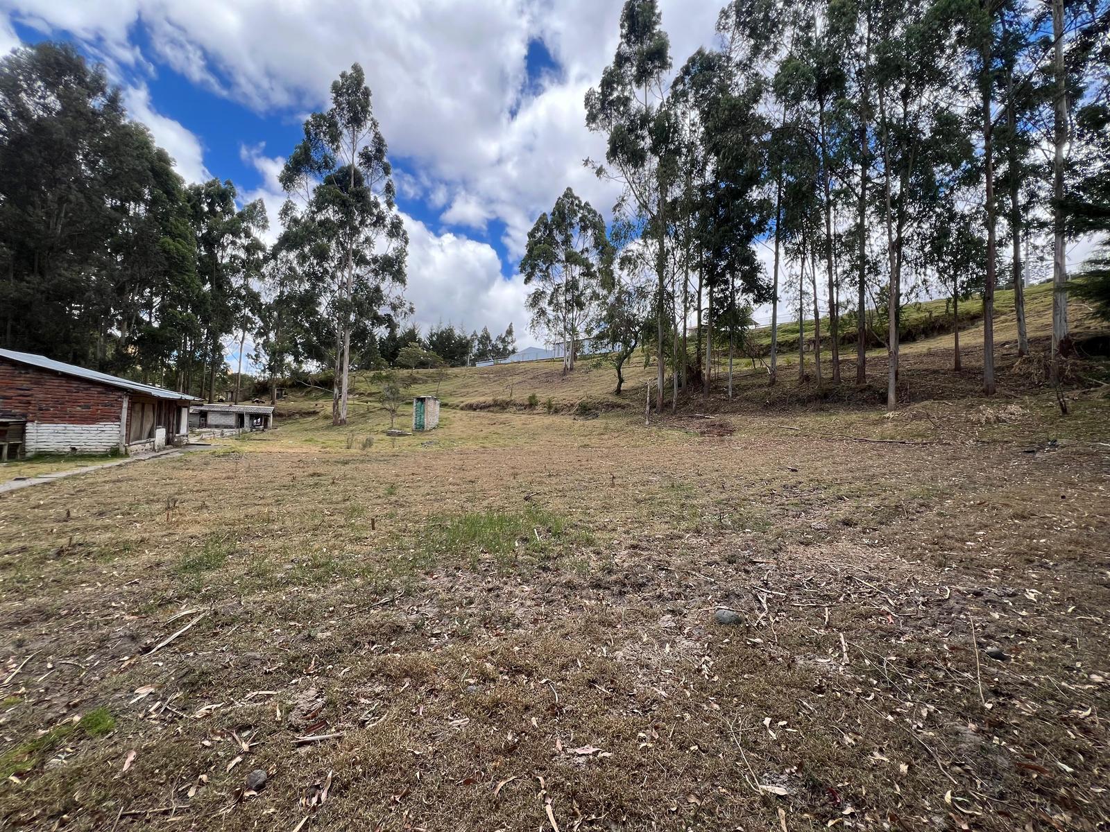 Terreno en venta en Pichincha | Quito | La Merced, ” Quinta Residencial con Producción de Alta Rentabilidad”. LA MERCED 9.578,28 M2