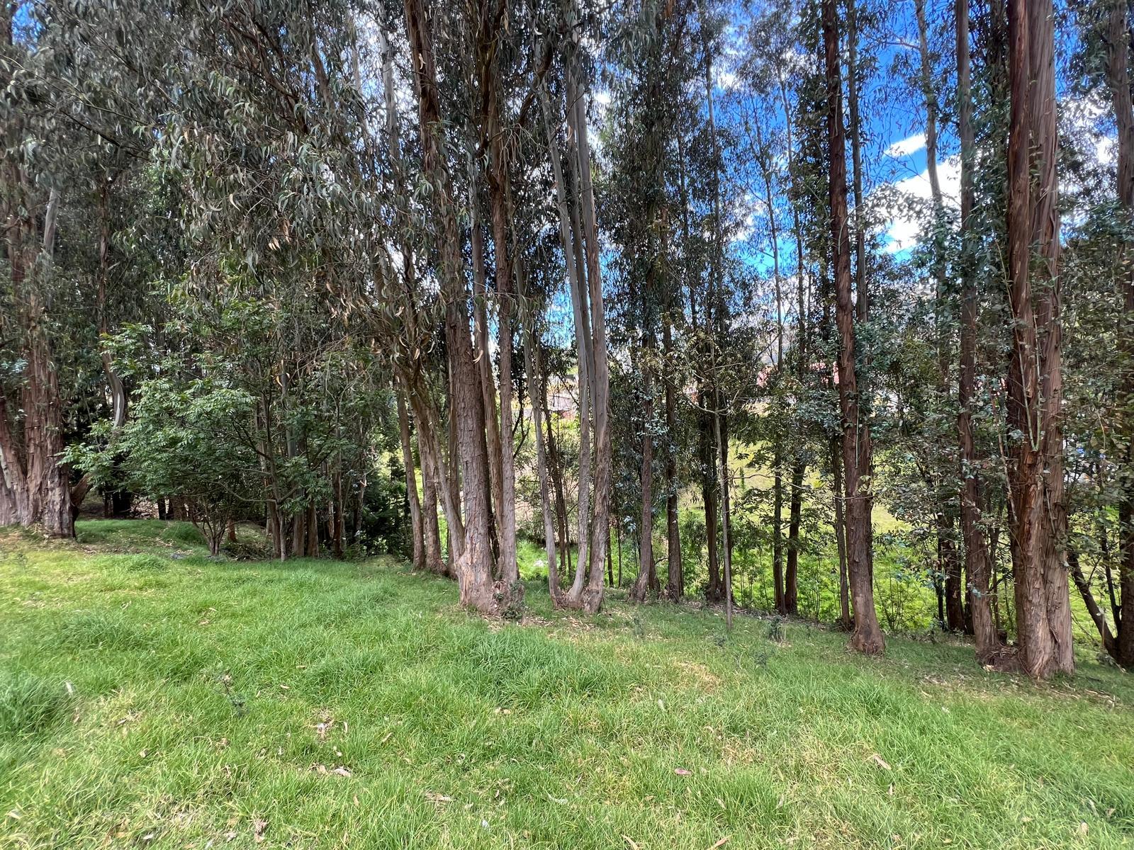 Terreno en venta en Pichincha | Quito | La Merced, ” Quinta Residencial con Producción de Alta Rentabilidad”. LA MERCED 9.578,28 M2
