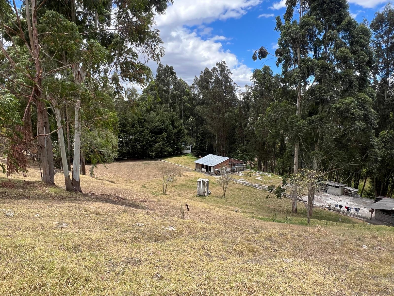 Terreno en venta en Pichincha | Quito | La Merced, ” Quinta Residencial con Producción de Alta Rentabilidad”. LA MERCED 9.578,28 M2