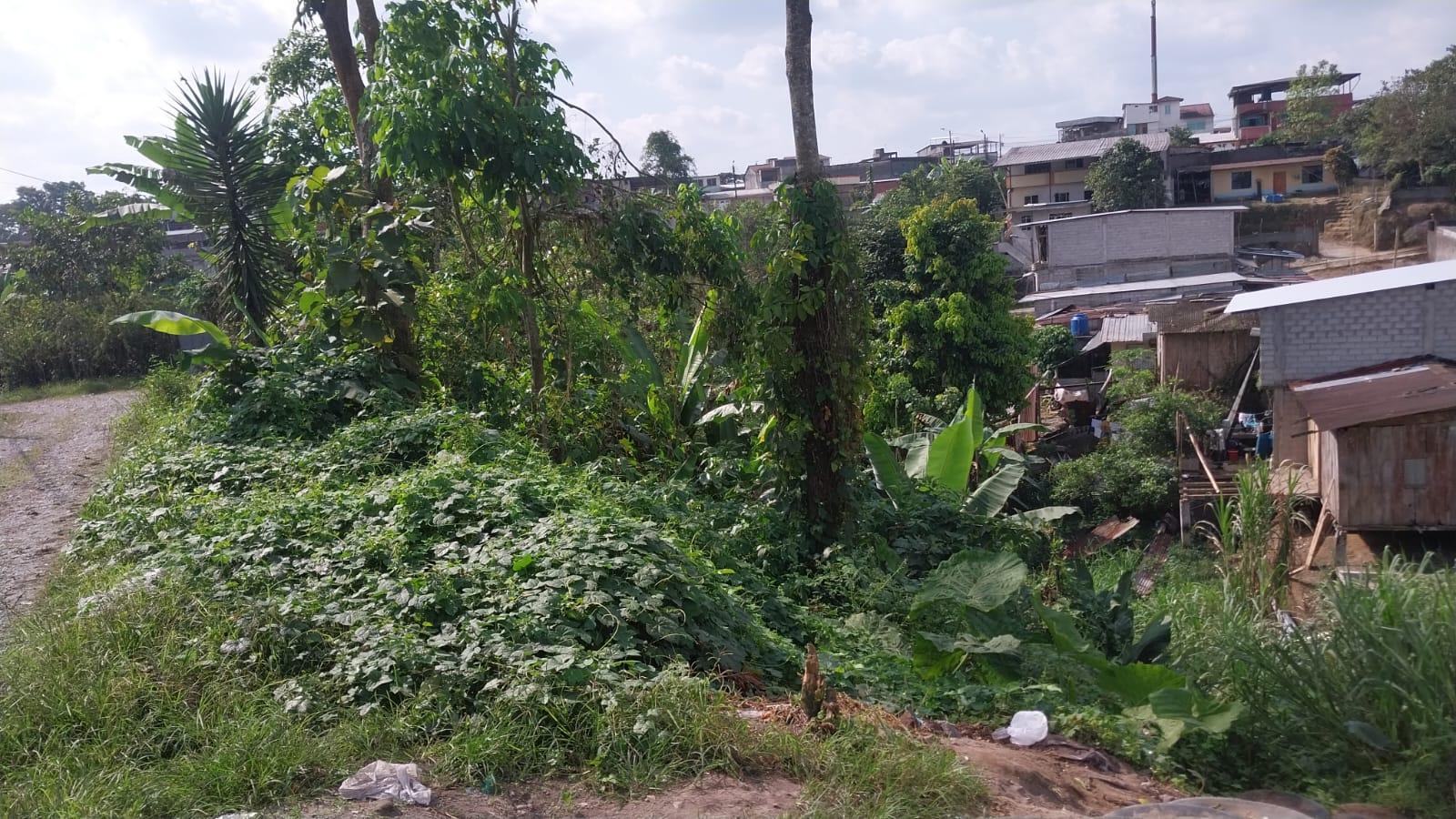 Land for Sale Cooperativa Alianza Carchense 3