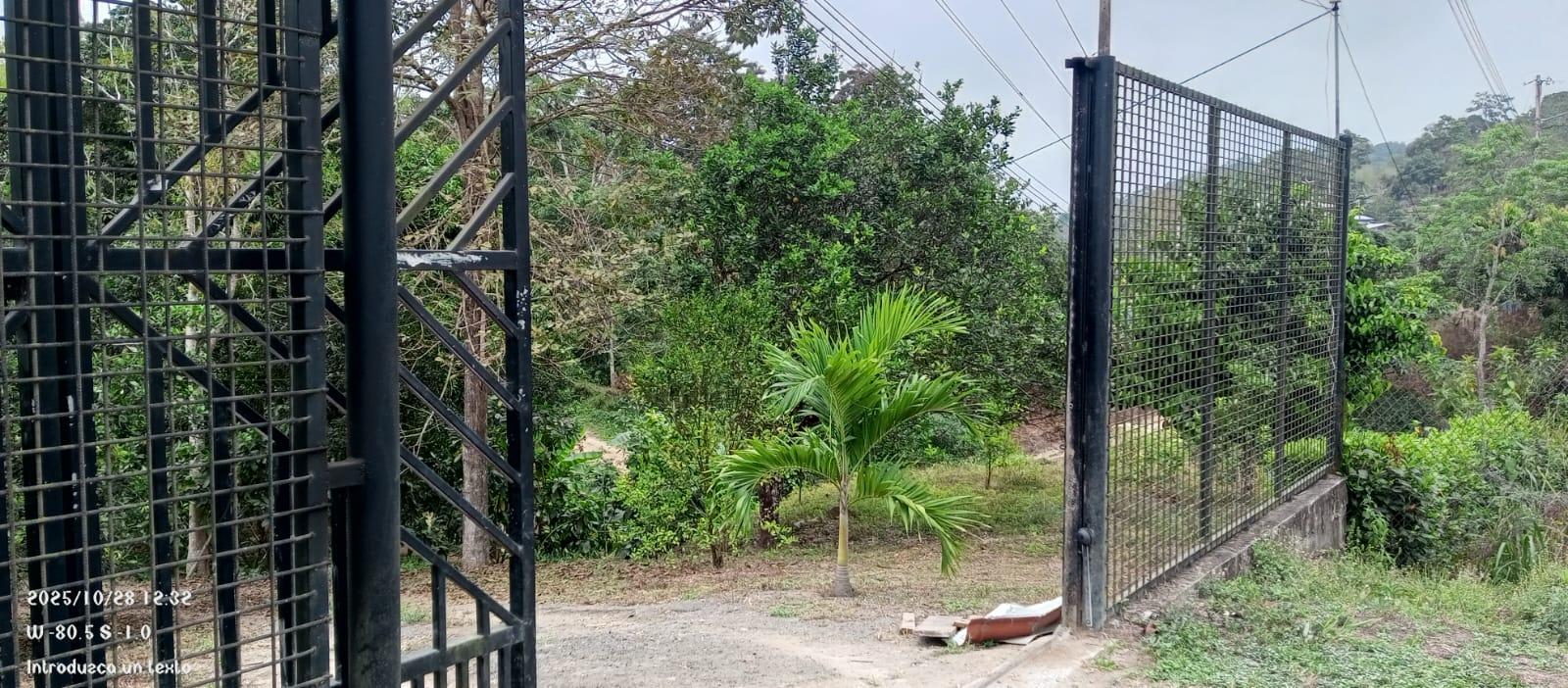 Finca en venta en Manabí | Chone | Norte de Chone, SE VENDE FINCA EN SITIO EL LIMON-RICAURTE-CHONE