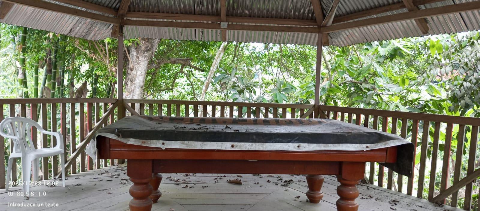Finca en venta en Manabí | Chone | Norte de Chone, SE VENDE FINCA EN SITIO EL LIMON-RICAURTE-CHONE