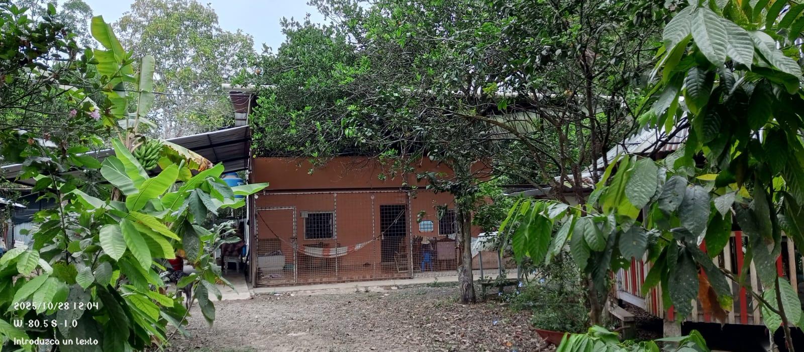 Finca en venta en Manabí | Chone | Norte de Chone, SE VENDE FINCA EN SITIO EL LIMON-RICAURTE-CHONE