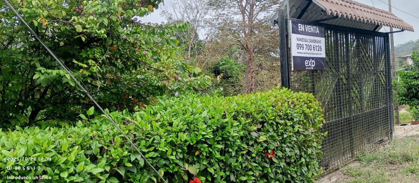 Finca en venta en Manabí | Chone | Norte de Chone, SE VENDE FINCA EN SITIO EL LIMON-RICAURTE-CHONE