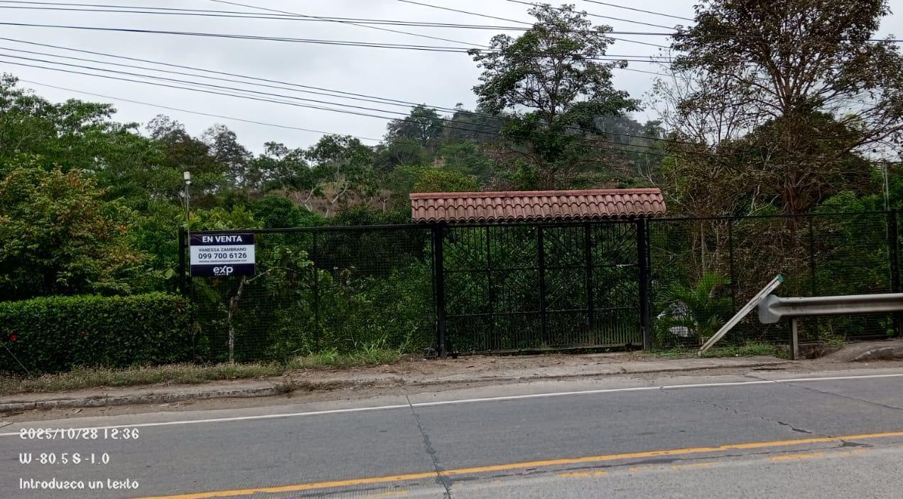 Finca en venta en Manabí | Chone | Norte de Chone, SE VENDE FINCA EN SITIO EL LIMON-RICAURTE-CHONE