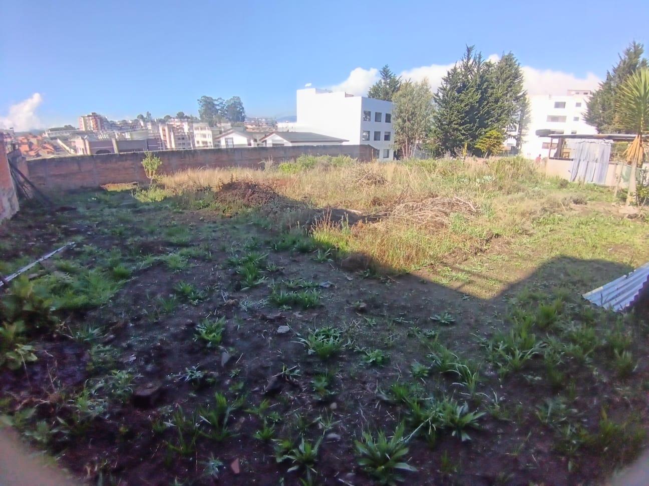 Land for Sale 5