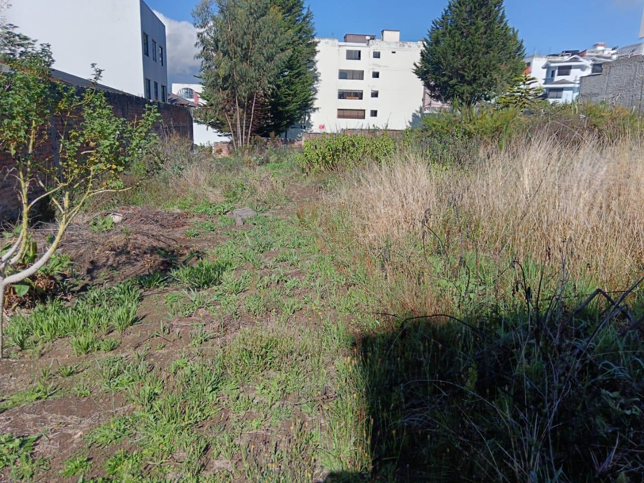 Land for Sale 3