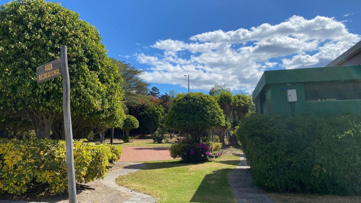 House for rent in Pichincha | Quito | Tumbaco, pachosalas tumbaco, calle jaime salvador y ruta viva, 330 m²