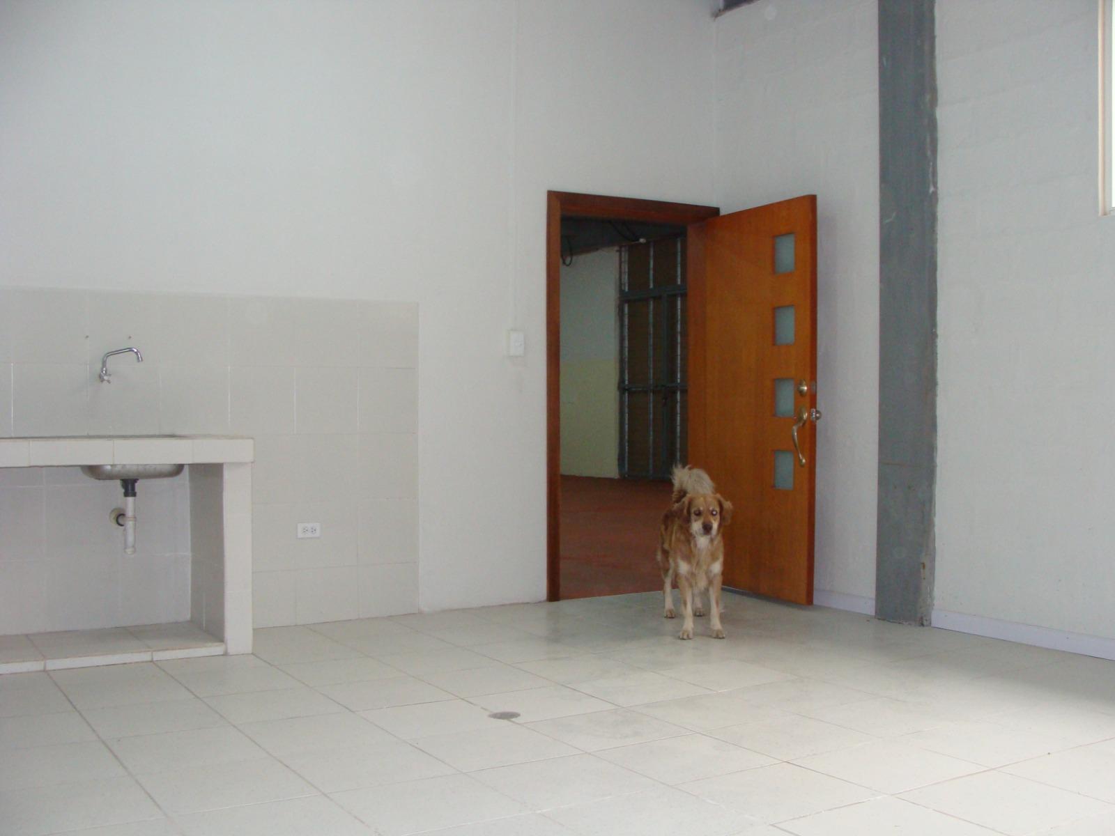 Galpón en venta en Imbabura | Antonio Ante | Atuntaqui, Av.Julio Miguel Aguinaga y Hugo Vallejos, 1205 m²