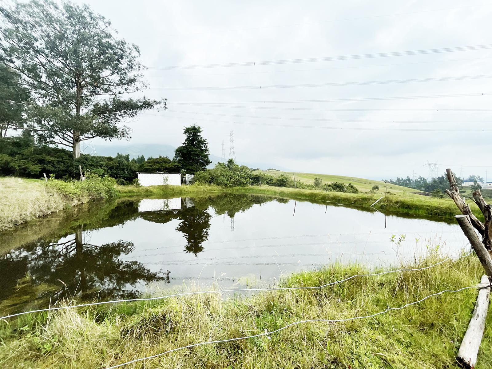 Terreno en venta en Pichincha | Quito | Pifo, EL INGA PIFO, 30000 m²