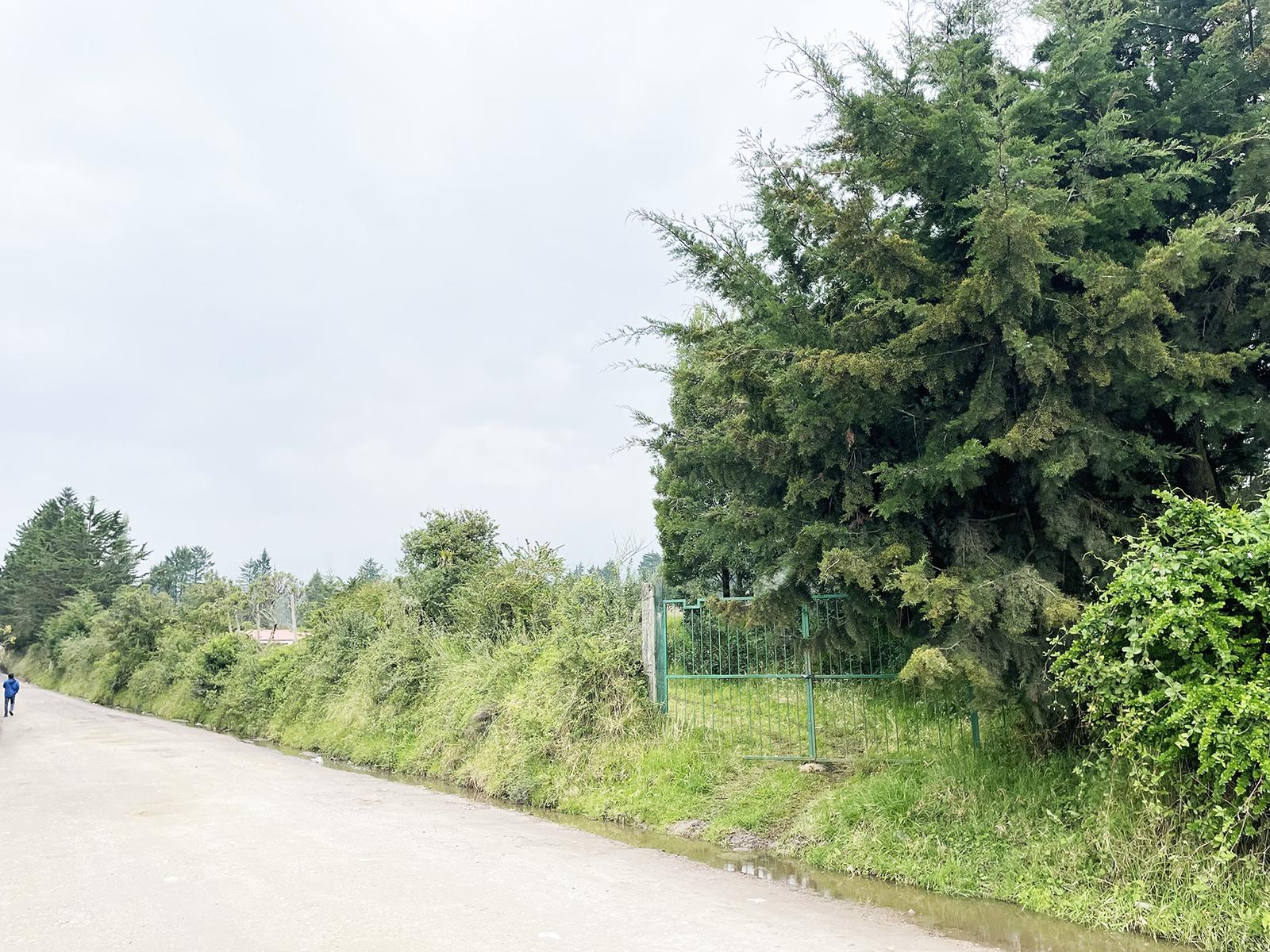 Terreno en venta en Pichincha | Quito | Pifo, EL INGA PIFO, 30000 m²