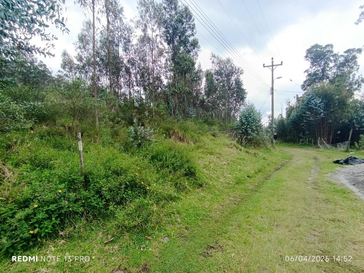 Terreno en venta en Pichincha | Quito | Conocoto, Venta de Terreno en Huertos Familiares