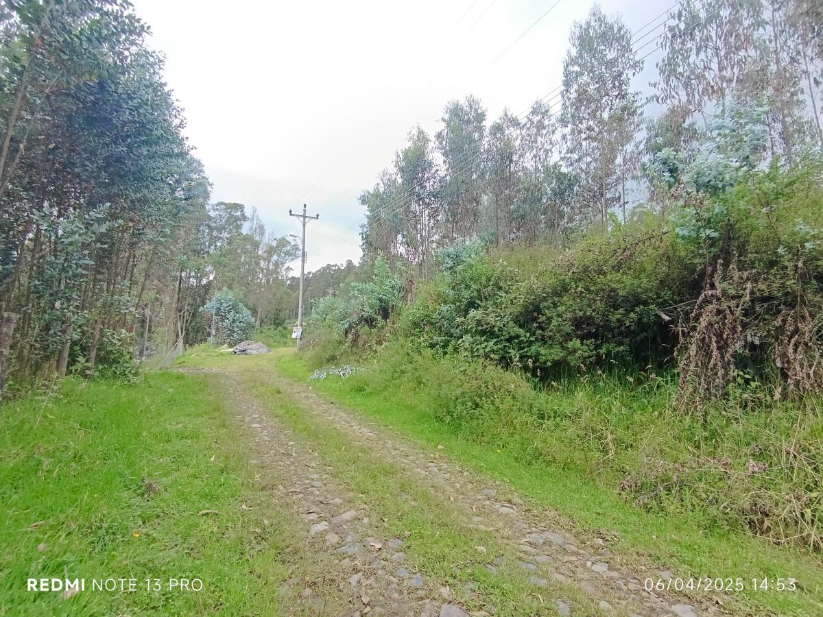Terreno en venta en Pichincha | Quito | Conocoto, Venta de Terreno en Huertos Familiares