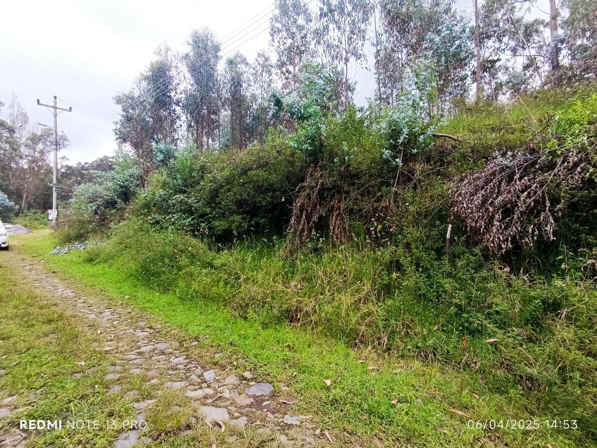 Terreno en venta en Pichincha | Quito | Conocoto, Terreno en Venta Huerto Familiar
