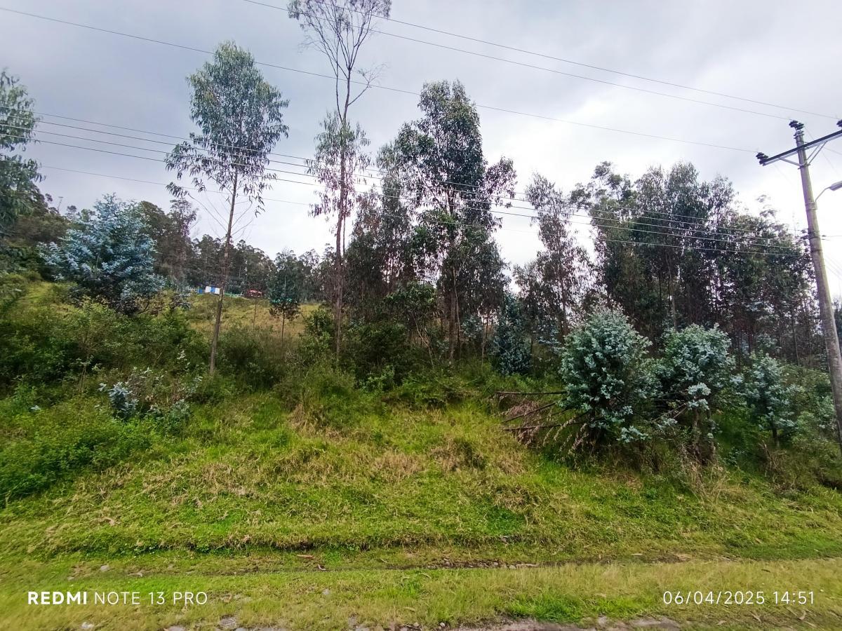 Terreno en venta en Pichincha | Quito | Conocoto, Terreno en Venta Huerto Familiar