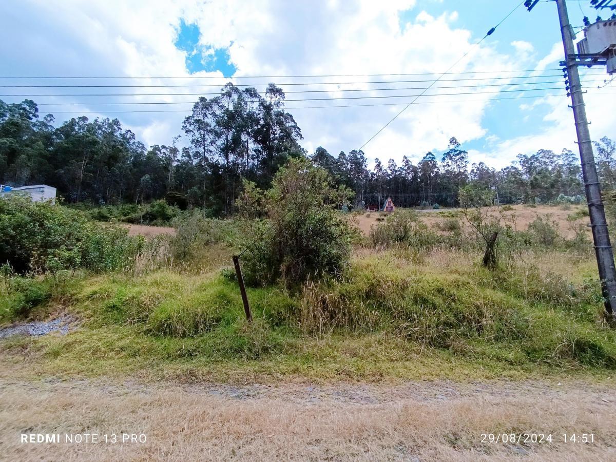 Terreno en venta en Pichincha | Quito | Conocoto, Terreno en Venta Huerto Familiar