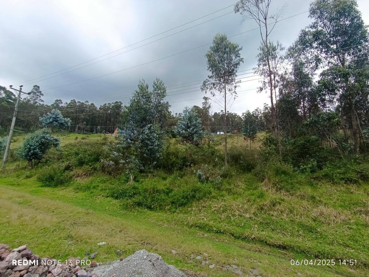 Terreno en venta en Pichincha | Quito | Conocoto, Terreno en Venta Huerto Familiar