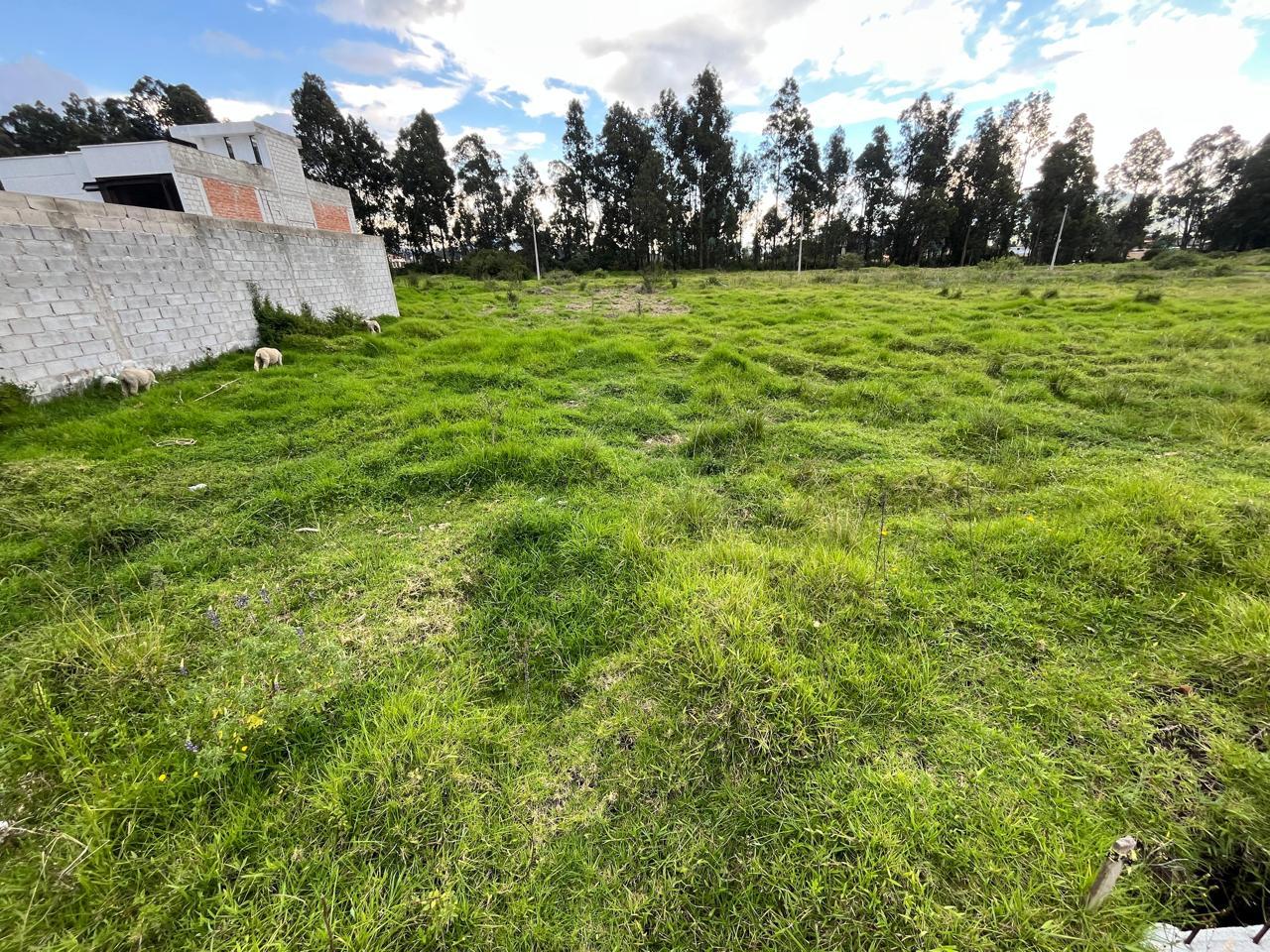 Land in Conocoto 3