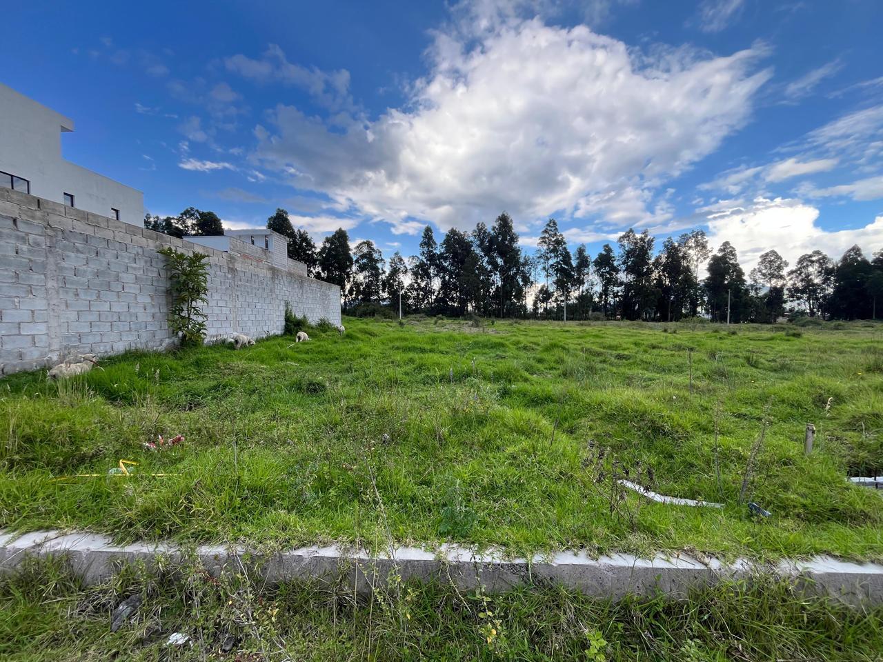 Land in Conocoto 4