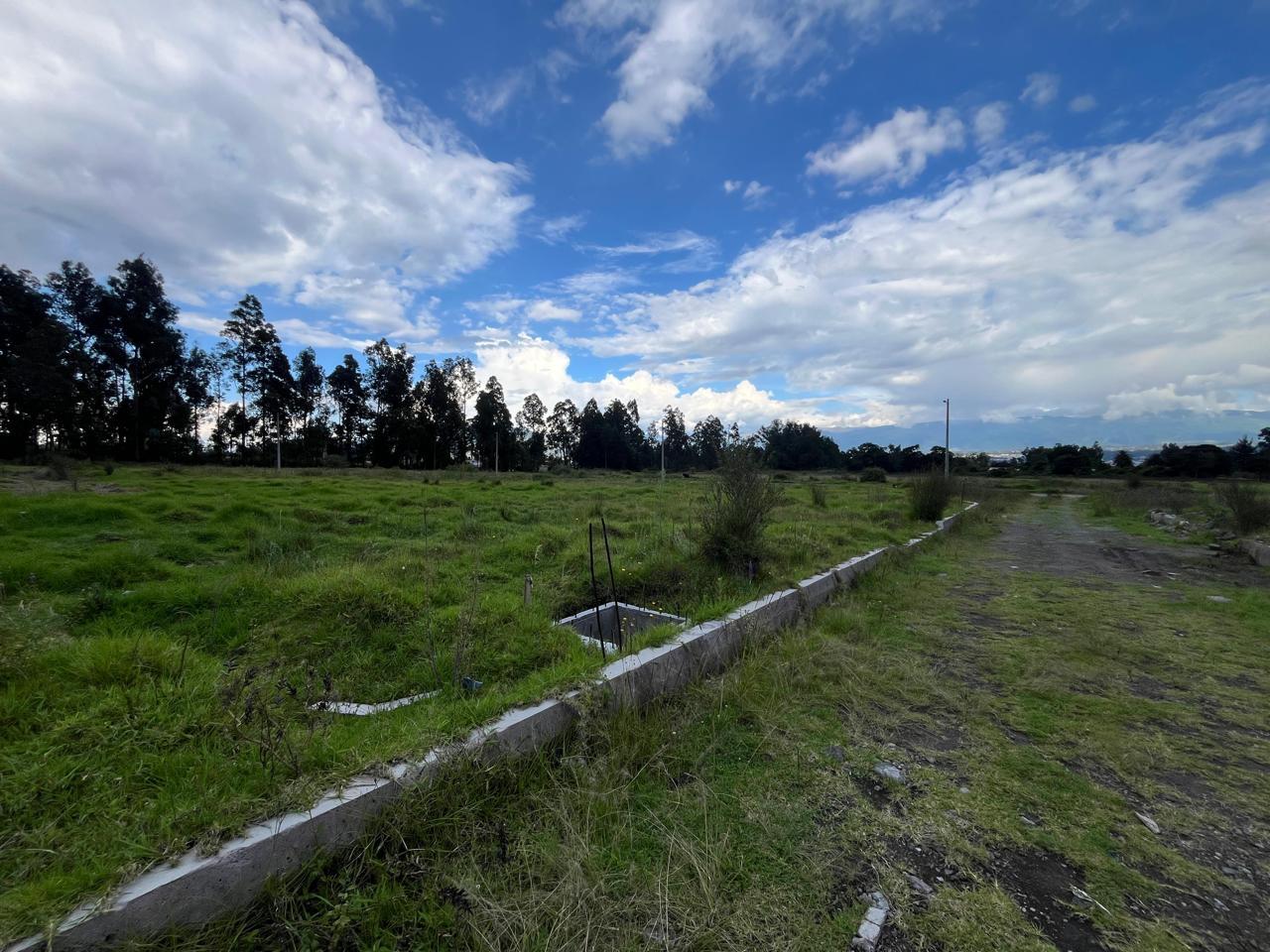 Land in Conocoto 2