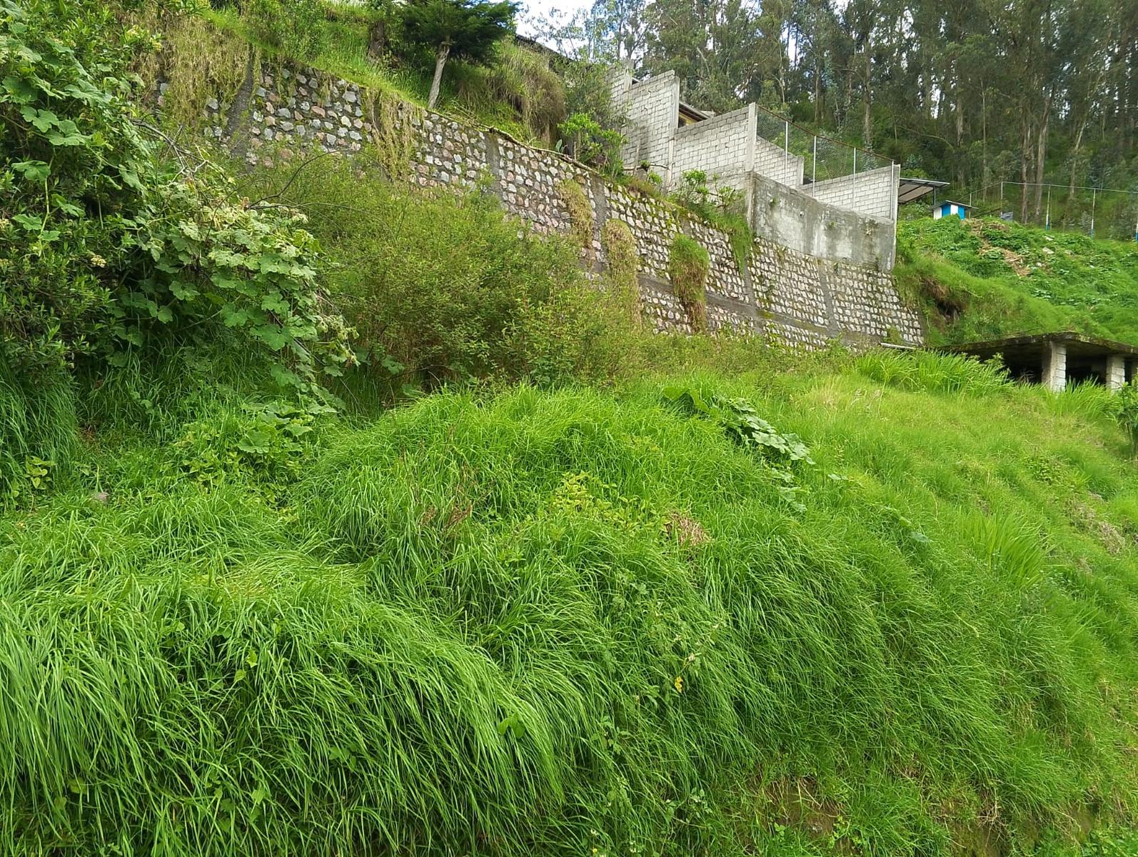 Land for Sale 484m2 4