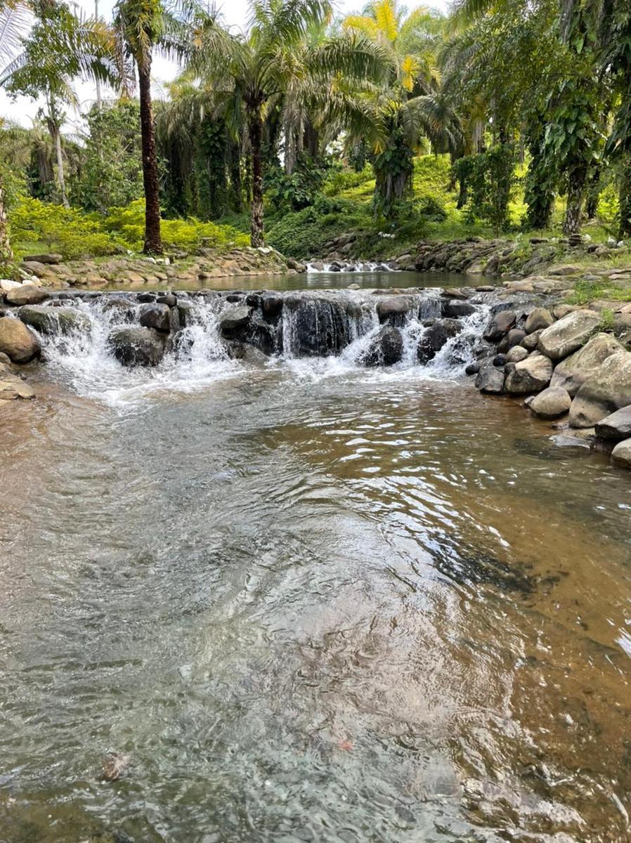 Terreno en venta en Ecuador | Pichincha | Puerto Quito, TERRENO SECTOR PUERTO QUITO, 1045 m²