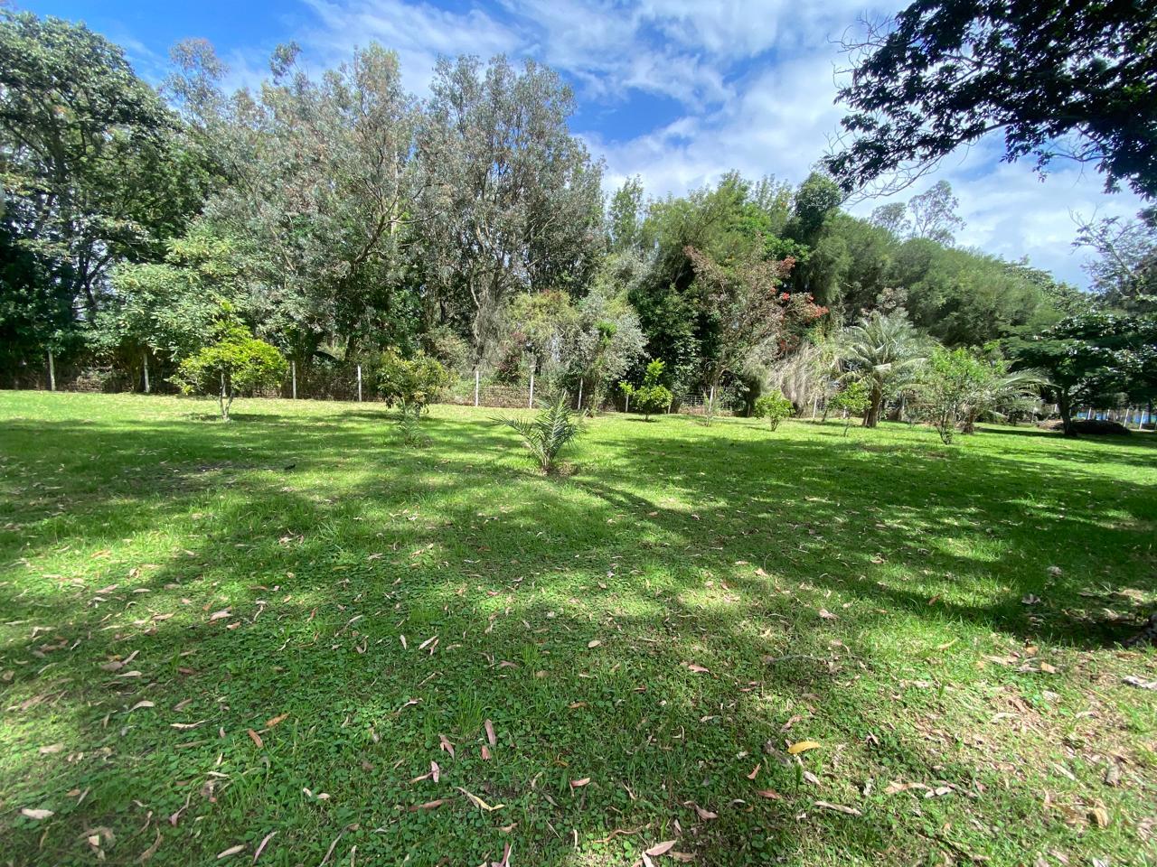 Land for Sale in Puembo Mangahuantag 2