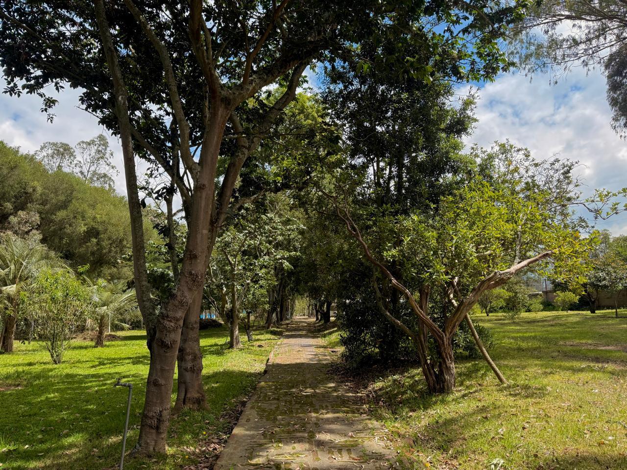 Land for Sale in Puembo Mangahuantag 5