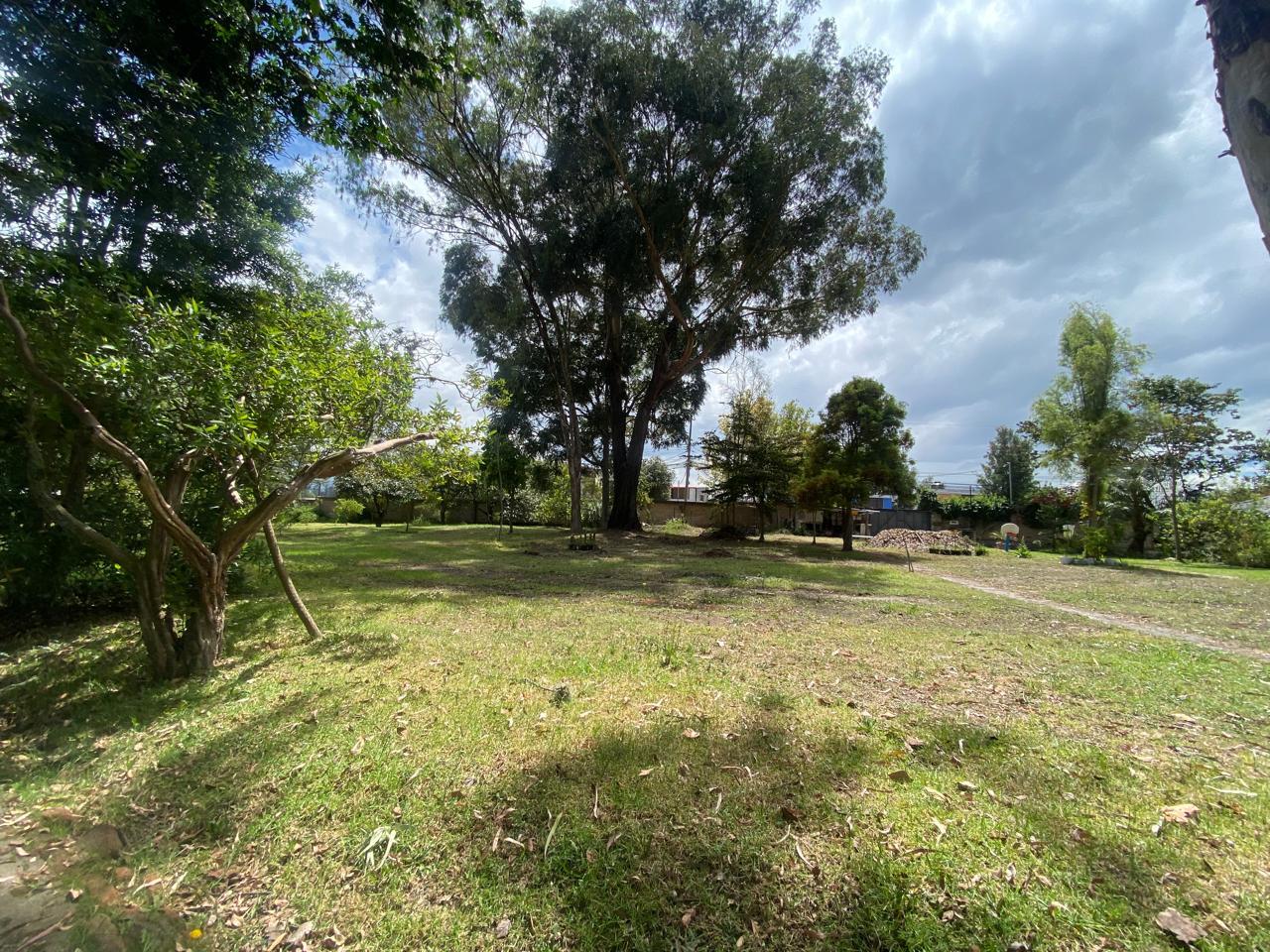 Terreno en venta en Pichincha | Quito | Puembo, PUEMBO MANGAHUANTAG CALLE JUANA MARÍA BACA