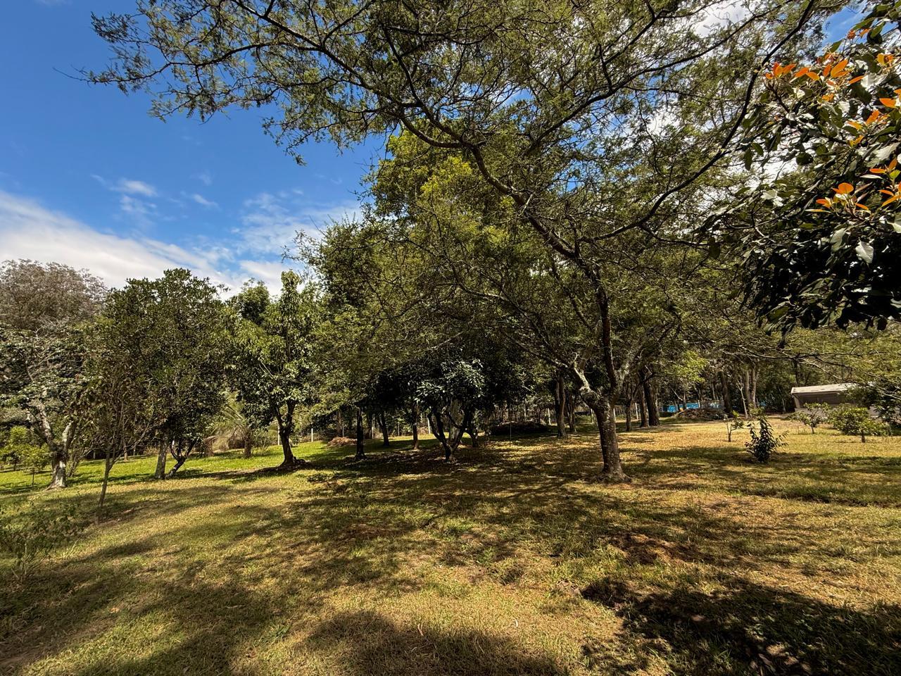 Land for Sale in Puembo Mangahuantag 4