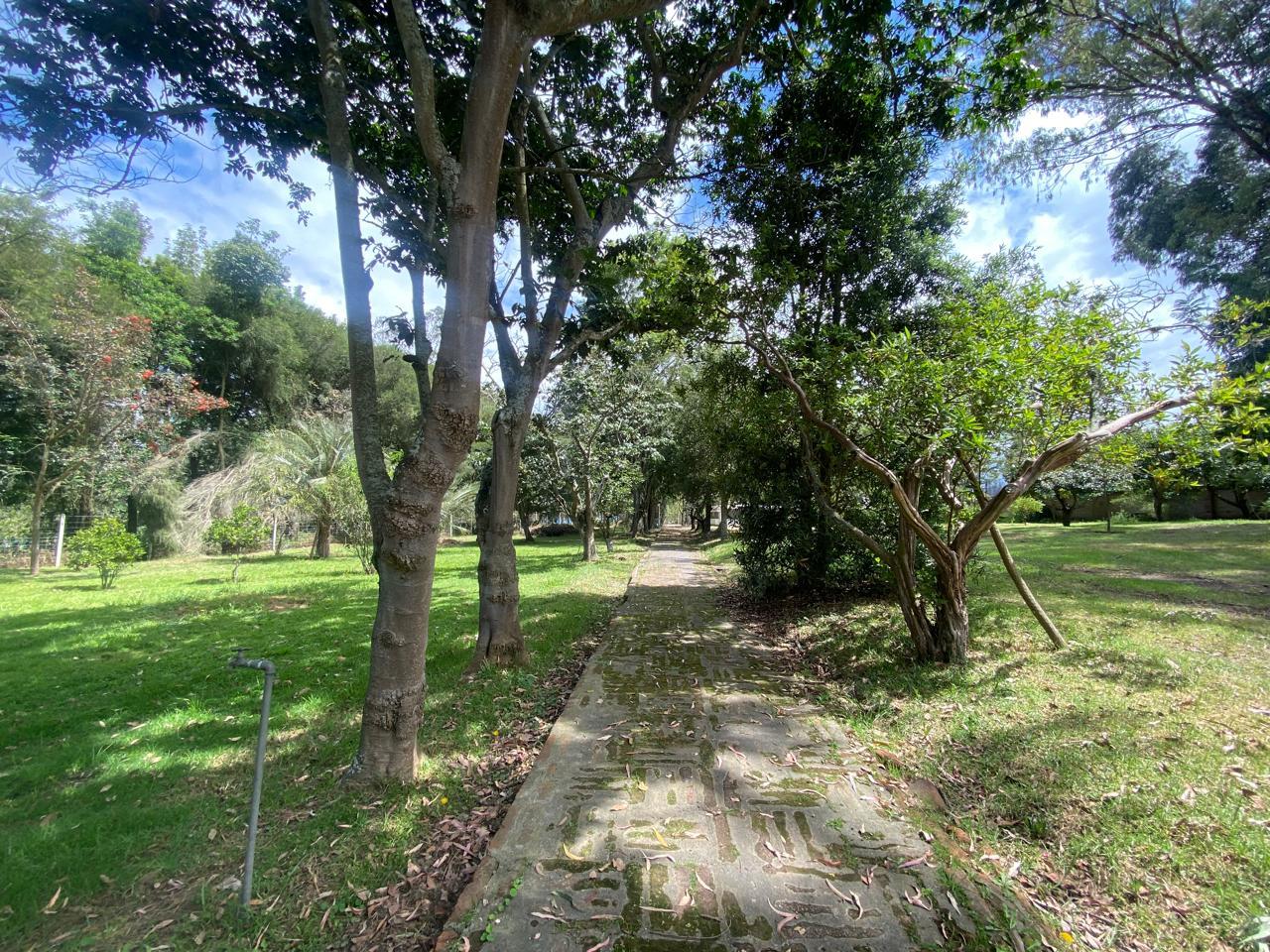 Land for Sale in Puembo Mangahuantag