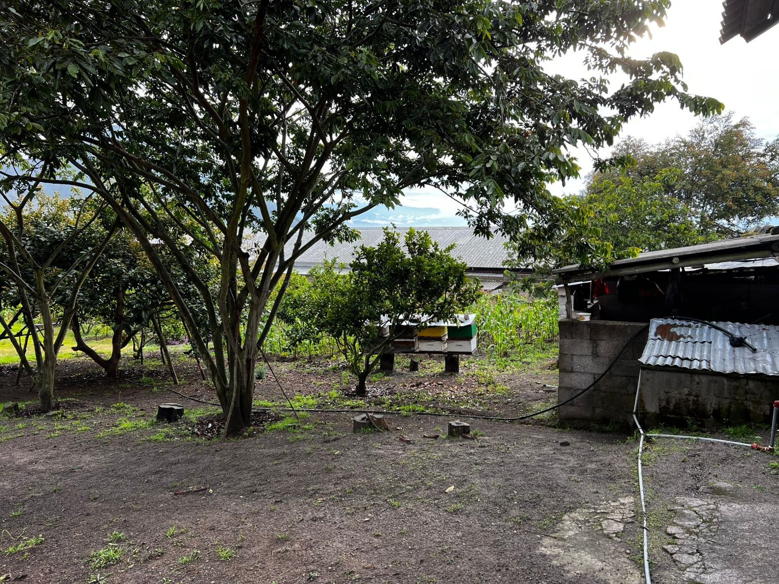 Quinta en venta en Pichincha | Quito | Mitad del Mundo, Caspigasi 52, 285 m²