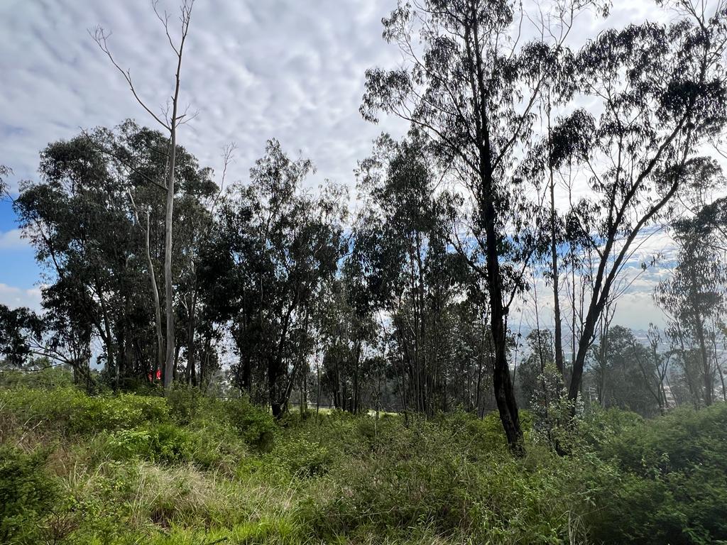 Land for Sale for Project: Real Estate / Investment / Commercial 4