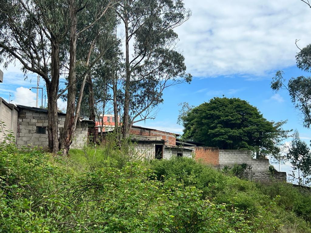 Land for Sale for Project: Real Estate / Investment / Commercial 3