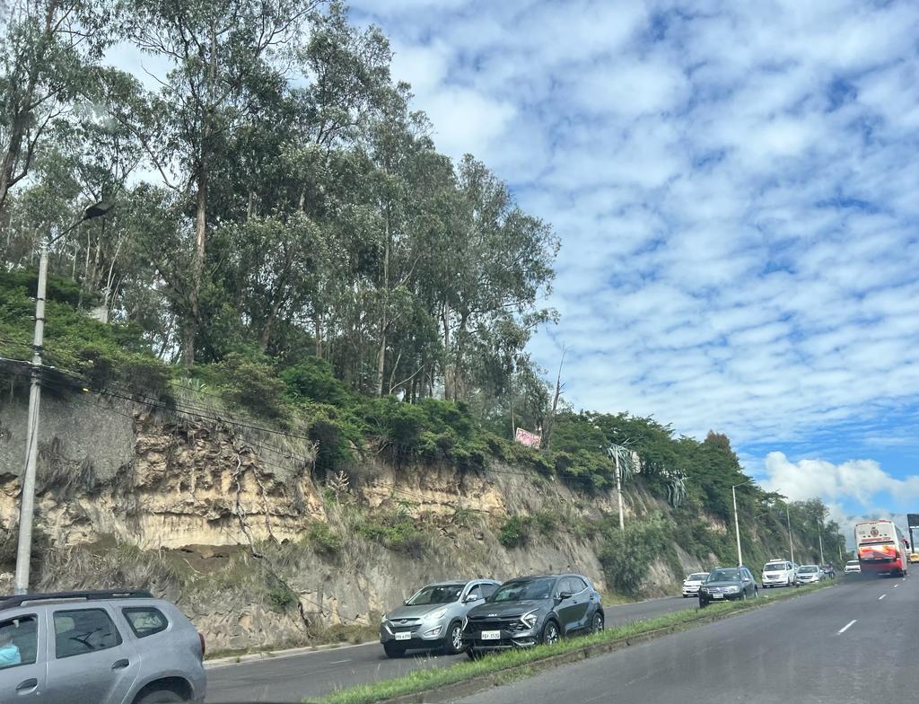 Land for Sale for Project: Real Estate / Investment / Commercial 5