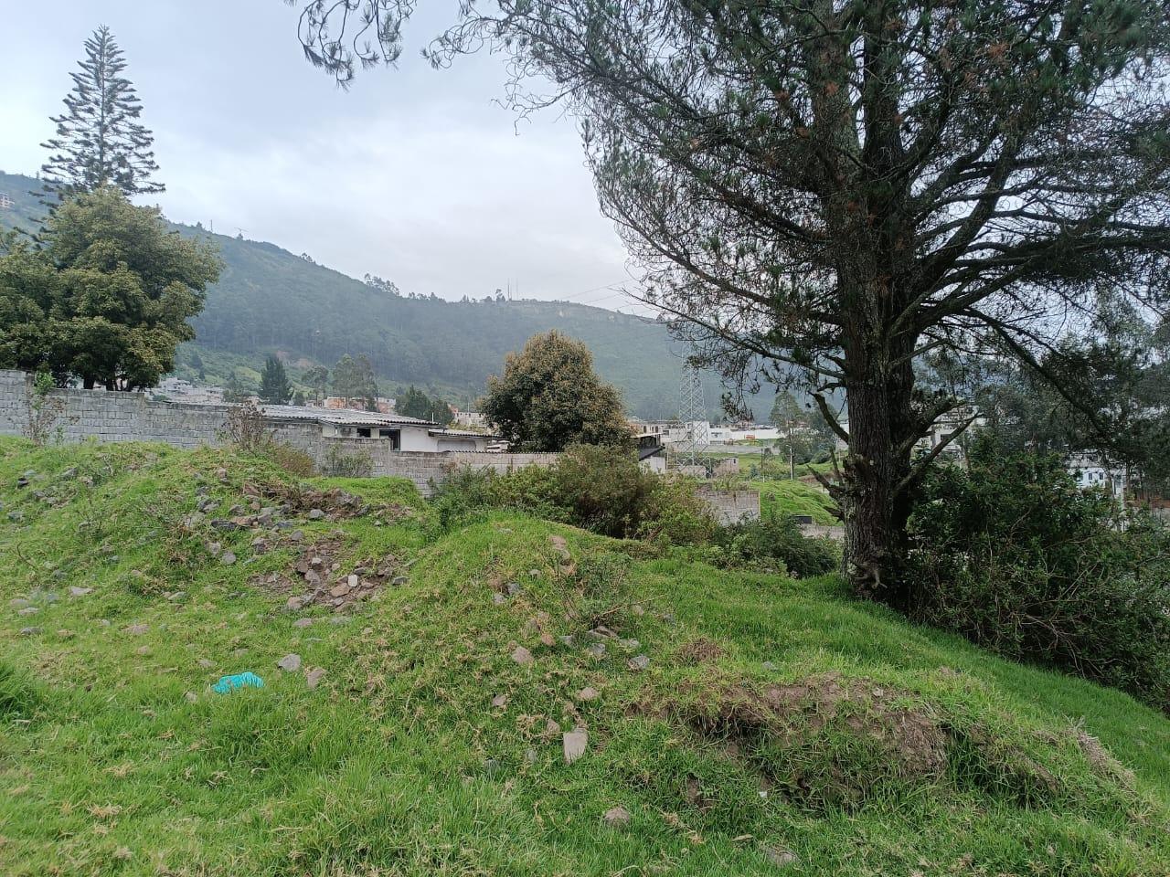 Terreno en venta en Pichincha | Quito | Conocoto, Los Chillos CONOCOTO El Rosario calle Ignacio de Quezada y Jose Manuel Plaza, 1013 m²