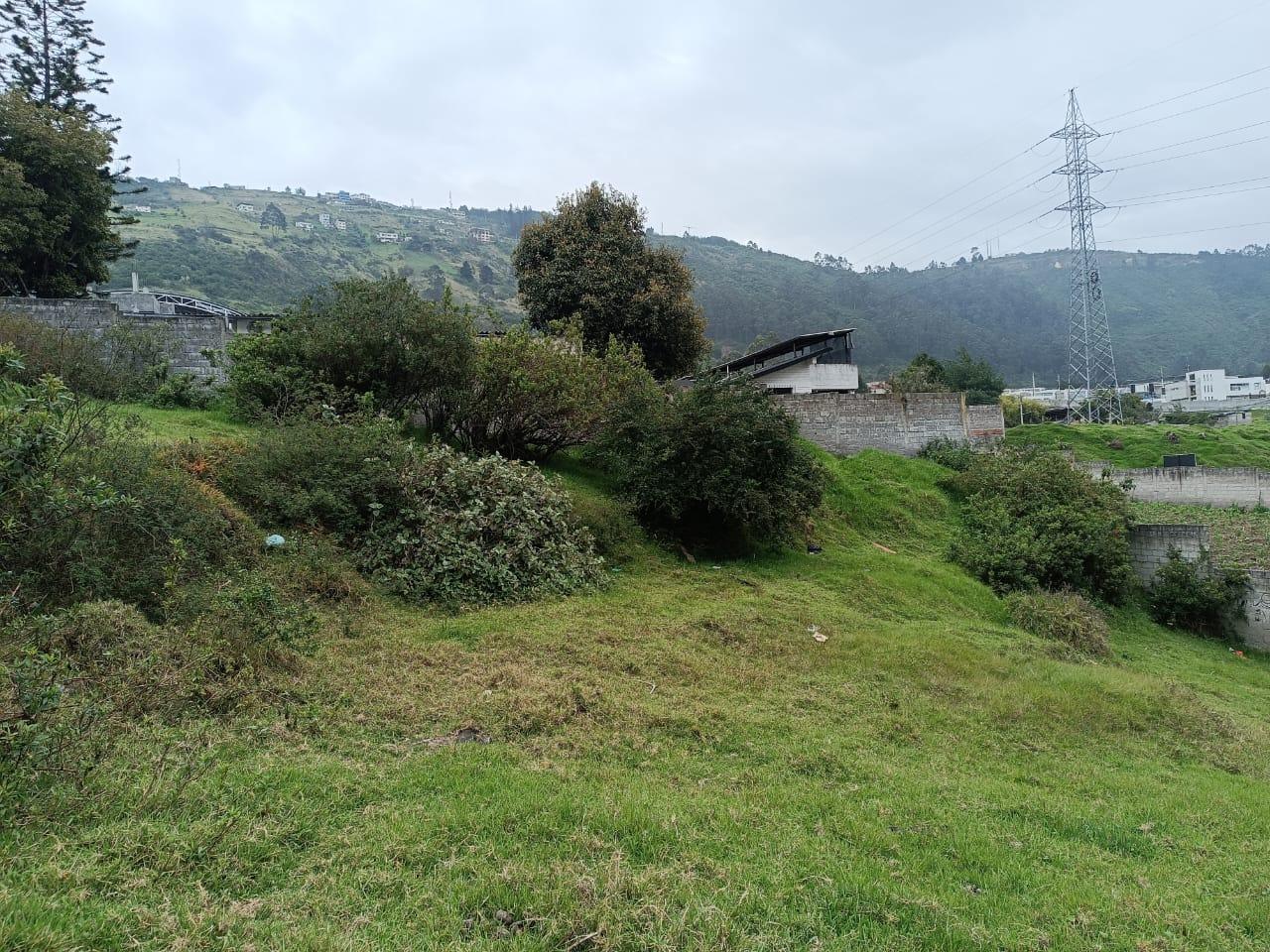 Terreno en venta en Pichincha | Quito | Conocoto, Los Chillos CONOCOTO El Rosario calle Ignacio de Quezada y Jose Manuel Plaza, 1013 m²