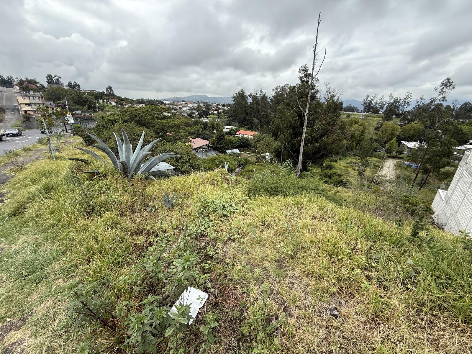 Land for Sale on Main Avenue 4