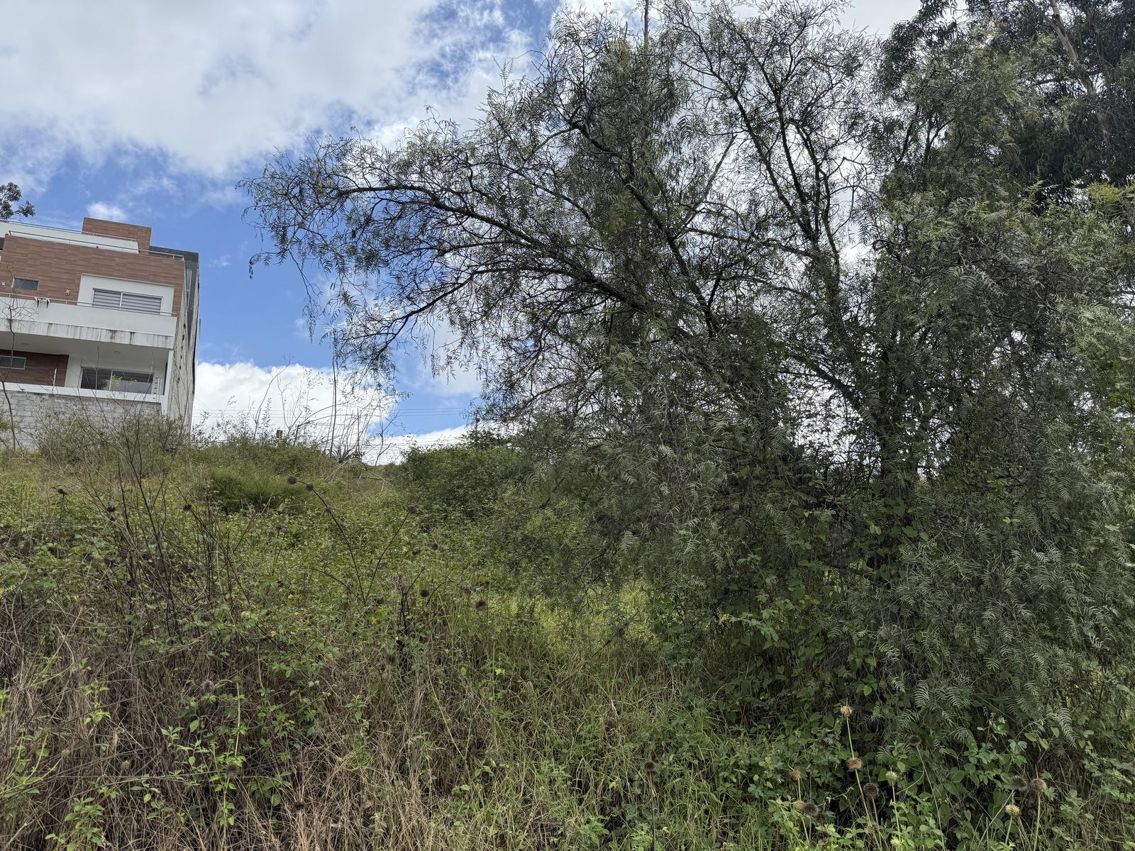 Terreno en venta en Pichincha | Quito | Puembo, Puembo