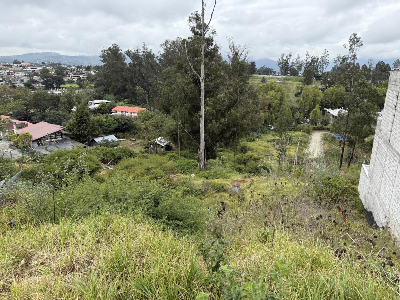 Land for Sale on Main Avenue 3