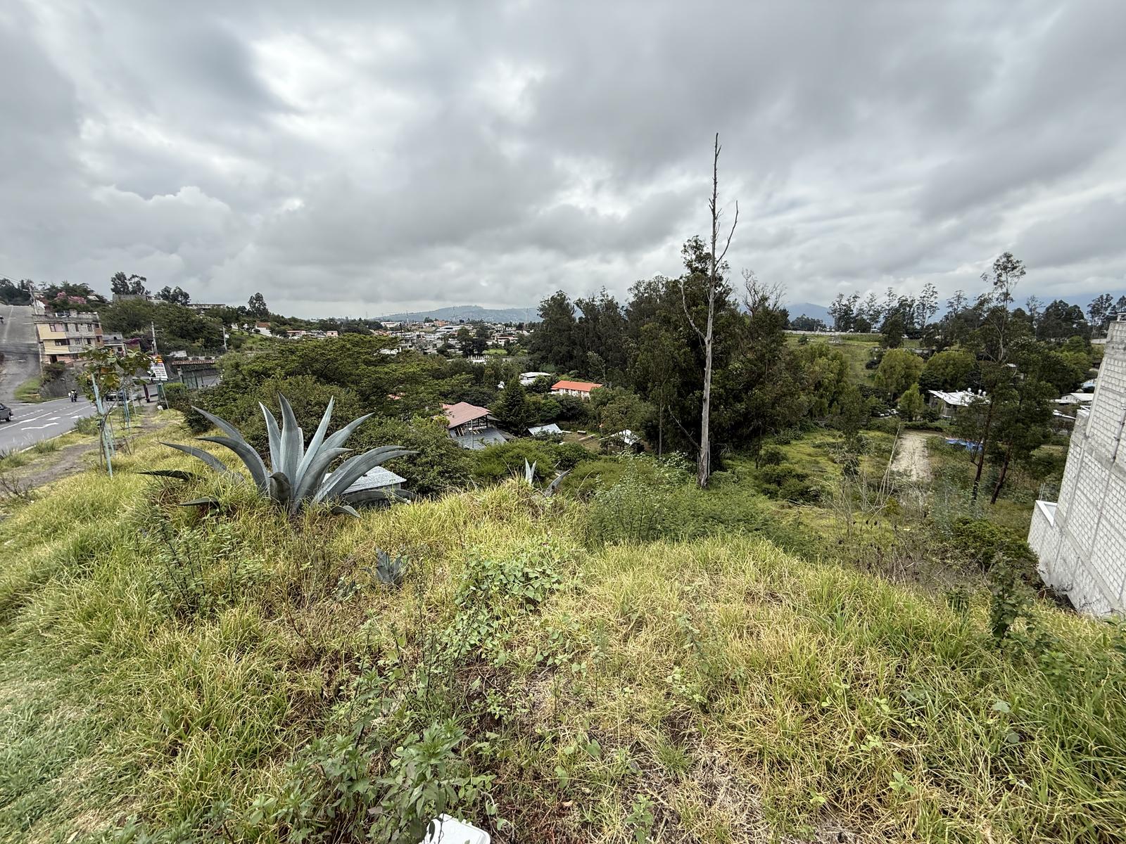 Land for Sale on Main Avenue 5