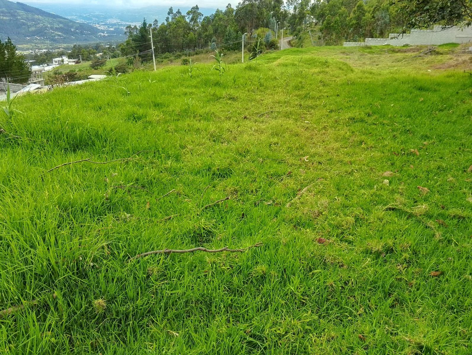 Terreno en venta en Pichincha | Quito | Cumbayá, Av. Simón Bolívar Santa Rosa de Cumbayá
