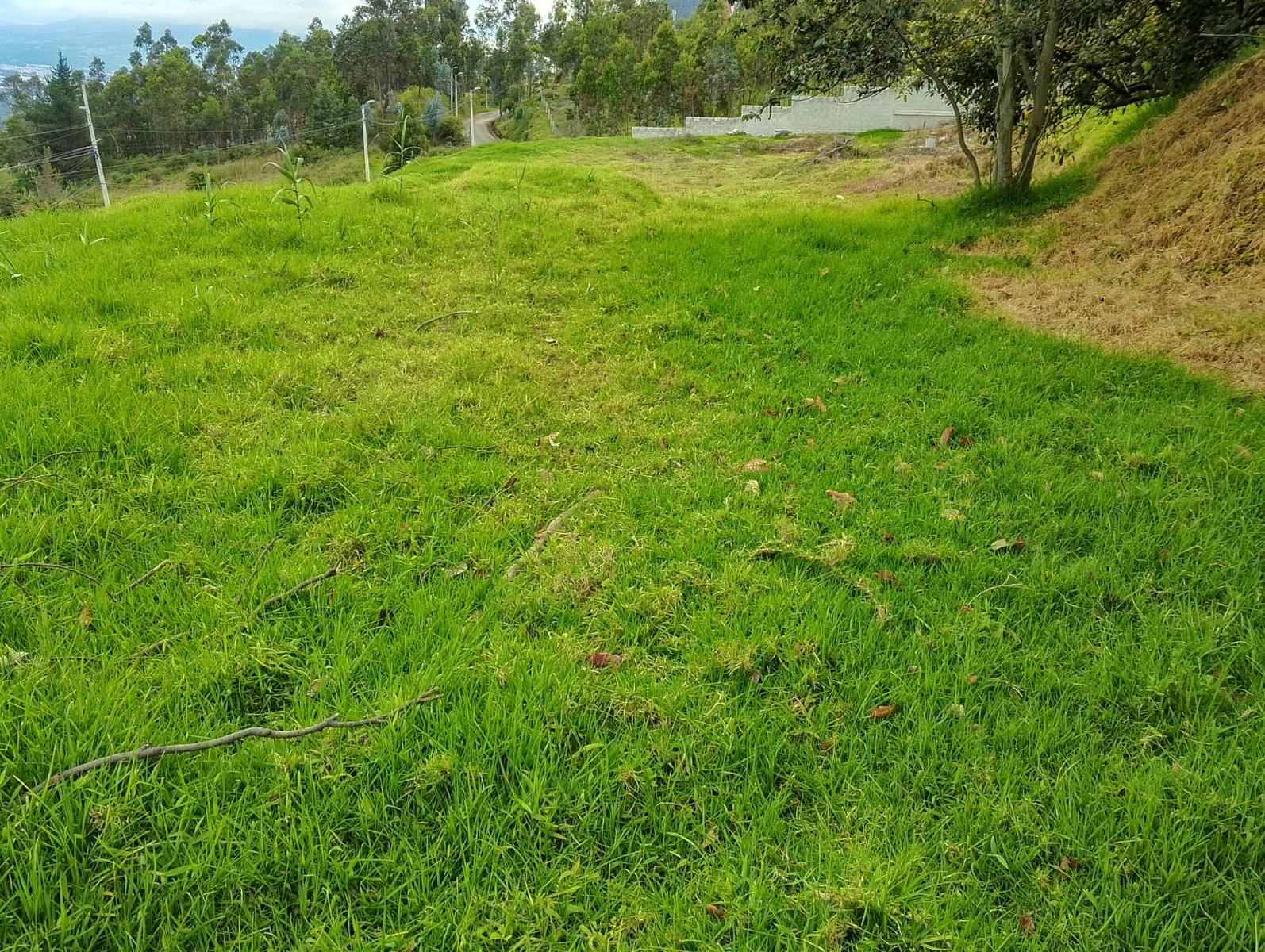 Terreno en venta en Pichincha | Quito | Cumbayá, Av. Simón Bolívar Santa Rosa de Cumbayá